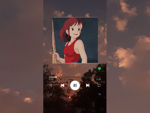 ☯