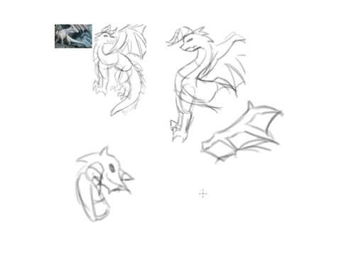 Animal practice (trust-) dragons