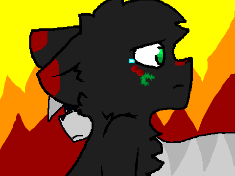 .:What I've Done CC:. Hollyleaf