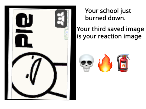 Your school just burned down and your third saved image is your reaction