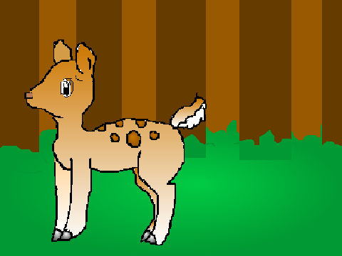 Deer