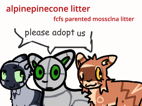[closed] this is my alpinepinecone litter