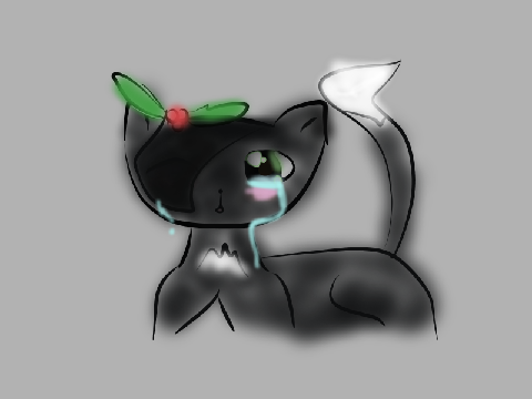 Hollyleaf