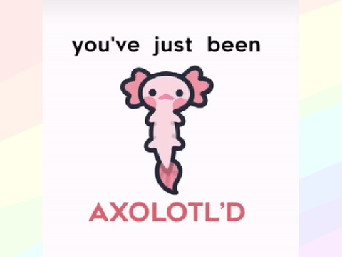 You've just been Axolotl'd  remix remix remix remix