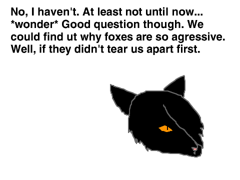Question four: For catscratch231