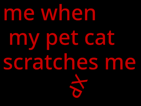 My Pet Cat = MEAN