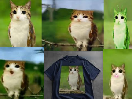Untitled-Meowl