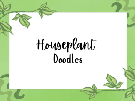 Houseplant doodles 