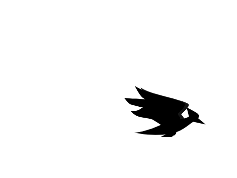 Animals/Random.