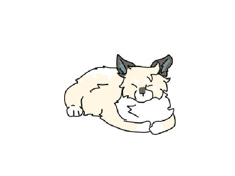 kitty