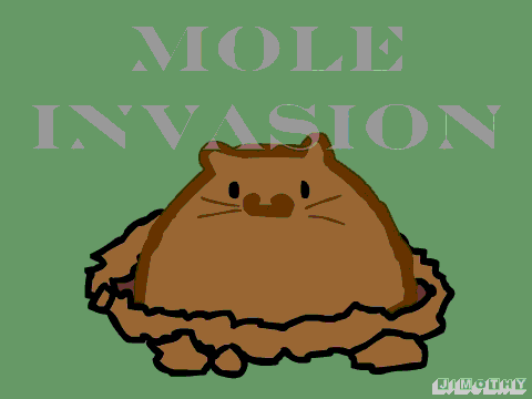 Mole Invasion