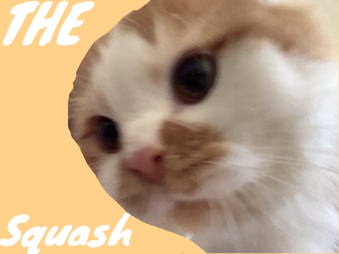 =^..^=