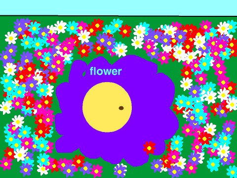 Flower Bio