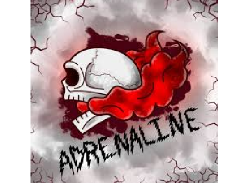 Dream- Adrenaline