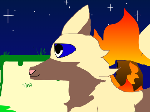 Counting stars backup