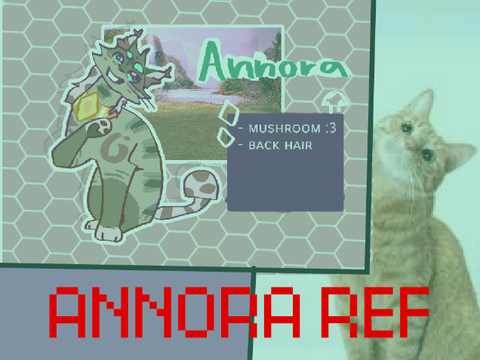 ✧ Annora ref