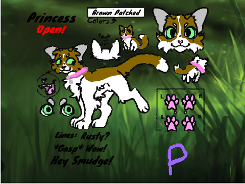 My Warrior Cat Audition!