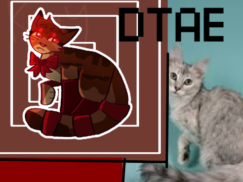 ✧ cherry chocolate dtae