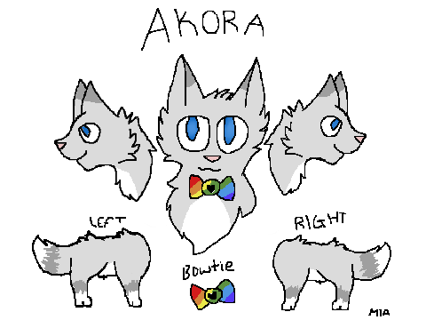 OC Reference Sheet- Akora