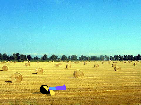 add yourself in the hay field