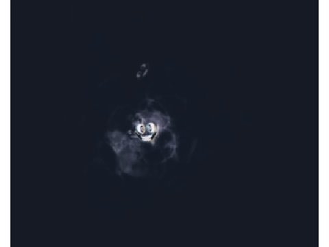 A-135 (The Invasive Virus) recorded in Roblox Studio