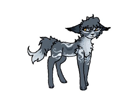 Litter designs!