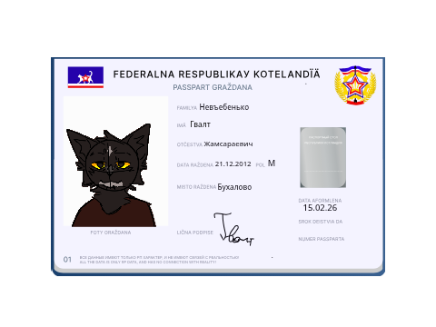 Паспорт в котляндию
