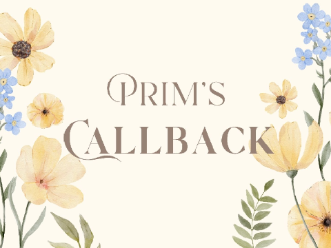 Prim's Callback - TSWOAE