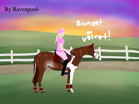 Update on Velvet!