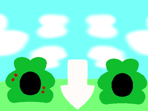 Warrior Cats: Life of a Clan