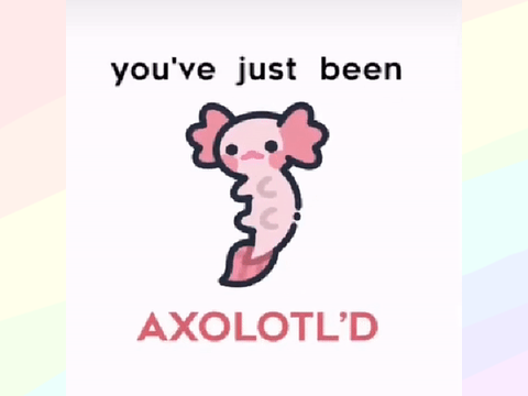 GET AXOLOTL'D