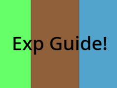 Exp Guide