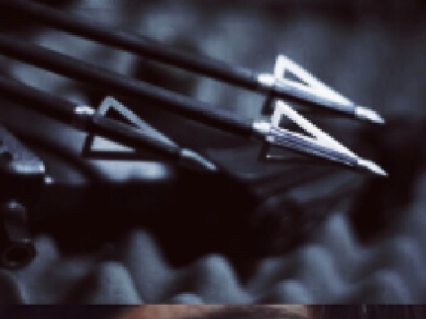 ៹