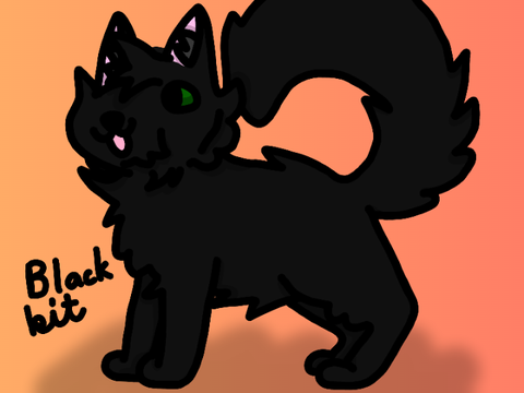Blackkit art oh yes