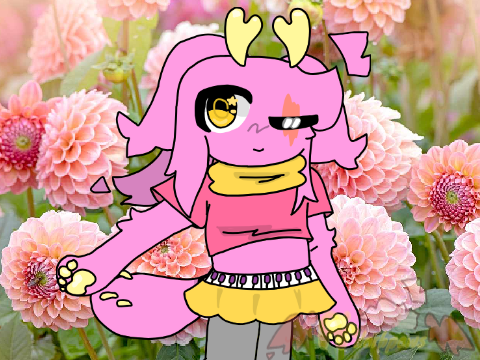 Dahlia the Slug Cat