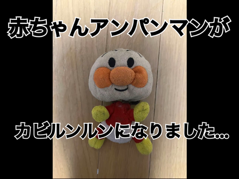 赤ちゃんアンパンマンはカビるんるんとなりました?