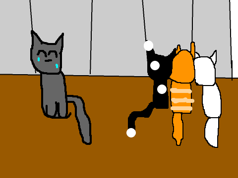Cool Cat