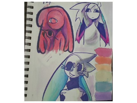 NOTEBOOK DUMP