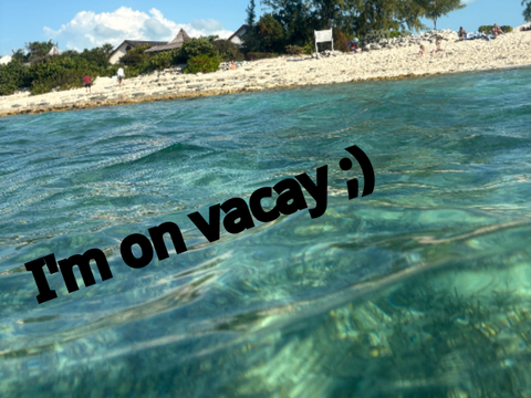 Inactivity upd - I’m on vacay, not leaving!
