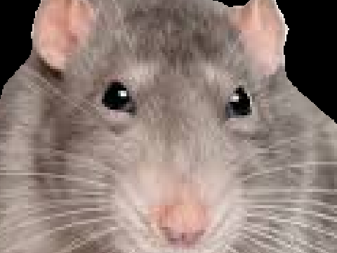 Меню для игры