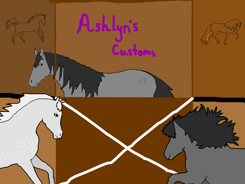Ashlyn's Customs