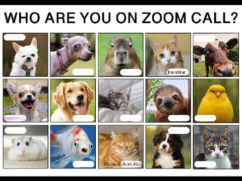 Who are you on zoom call? remix remix