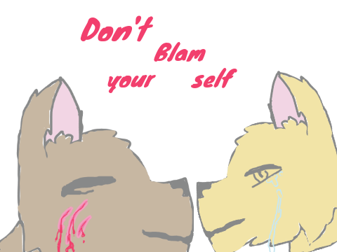 dont blame a small animation