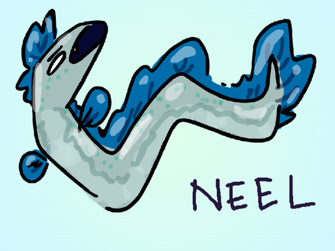 neel the eel