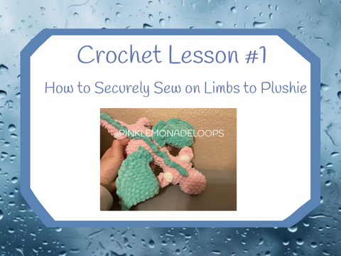 Crochet Lesson #1 Blue Group