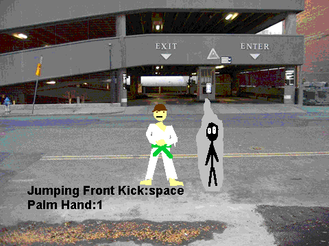 Taekwondo Simulator 6