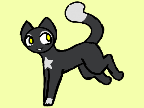 [][] Bananaquit [][]