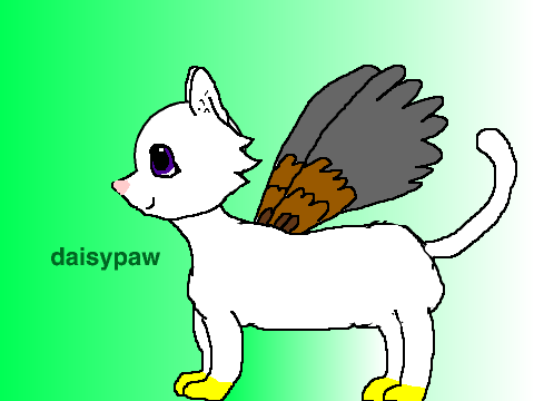 Daisypaw (OC)
