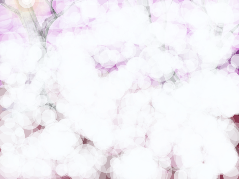 Fog Simulation