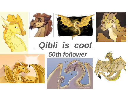50th Follower
